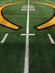 The Indiana Hoosiers Resemble Everything We Love About Sports american football, football, playoff, field, sports, green football, green sports, american football, american football, american football, american football, american football